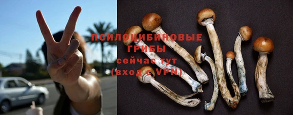 apvp Верхний Тагил