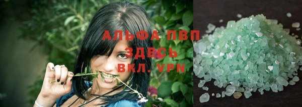 PSILOCYBIN Бородино