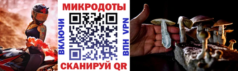 Псилоцибиновые грибы GOLDEN TEACHER  Купить  Лобня 